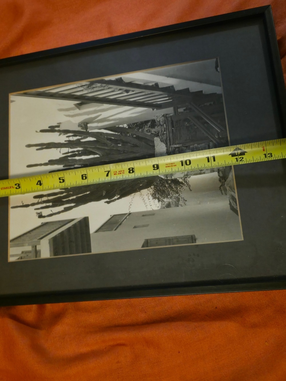 4/$25 Deal! Vintage Black and Cream Cactus Photography Print In Black Frame - Picture 4 of 6